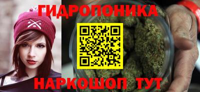 мдпв Пенза