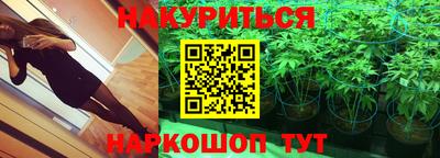 apvp Партизанск