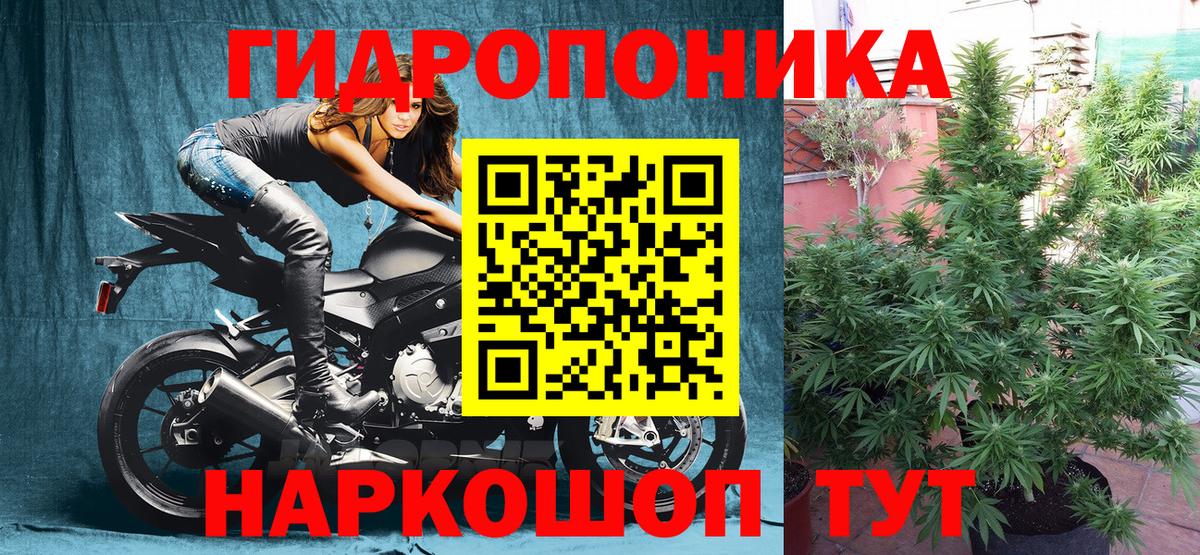 Каннабис план Шумерля